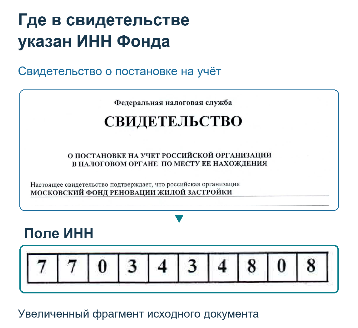 Фрагмент свидетельства ФНС с увеличенным полем ИНН Московского фонда реновации: 7703434808