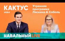 Embedded thumbnail for Николай Соболев. Иски Усманова и Птахи к ФБК и прямая линия Путина
